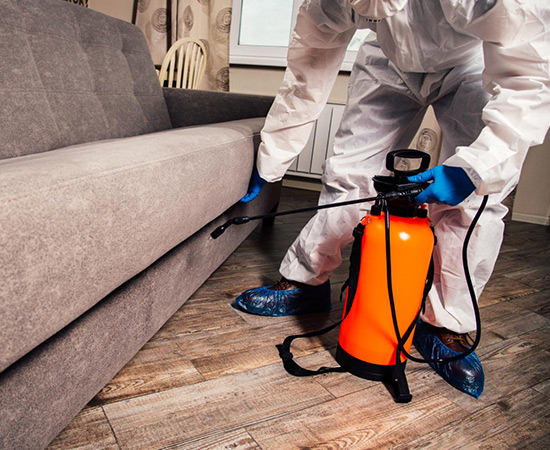 Fumigation services Karachi