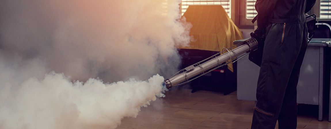 Fumigation services in Karachi