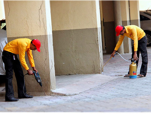 Termite Proofing Treatment in Karachi